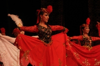 Culture (48)