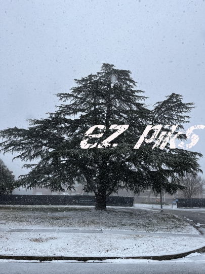 Snowing 
